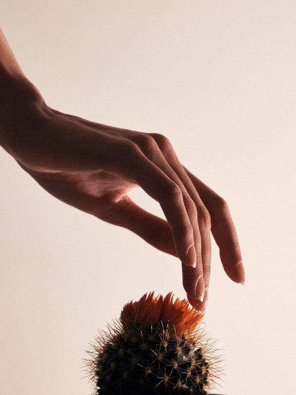 Hands Miriam Korczak